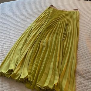 Pleated chiffon skirt